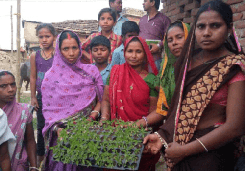 Can The Presence of A Nursery Improve The Crop Yield For Farmers? Read On